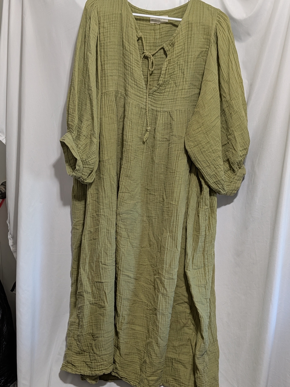Daughters of India Olive Green Gauze Maxi Dress